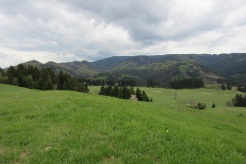 Fotografie Čremošné