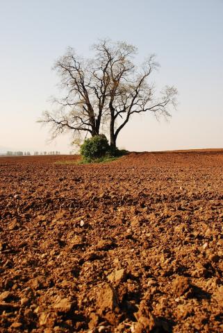 Fotografie Haniska pri Košiciach