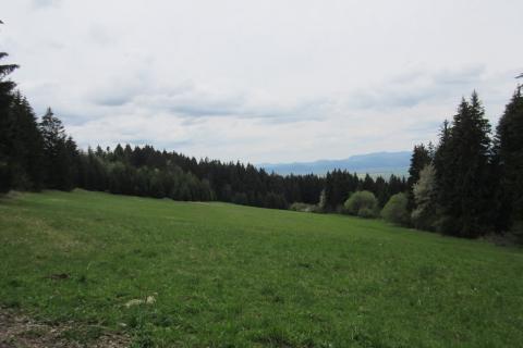 Fotografie Čremošné