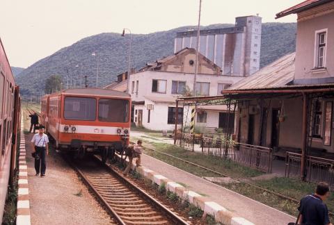 Fotografie Plešivec