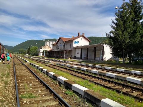 Fotografie Plešivec