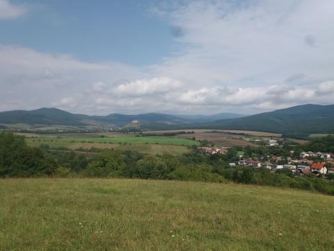 Fotografie Lipovník