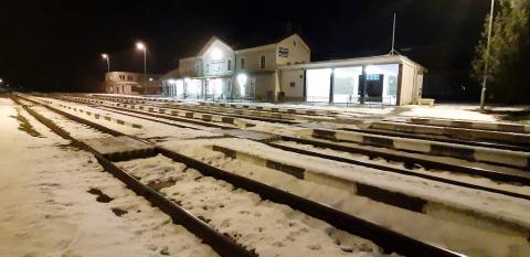 Fotografie Plešivec