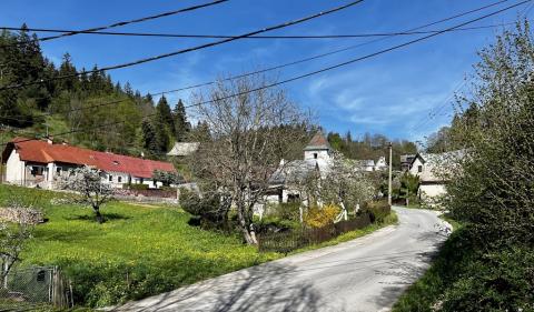 Fotografie Čremošné