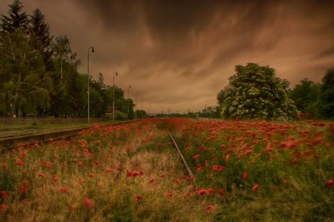 Fotografie Žabokreky nad Nitrou Train station