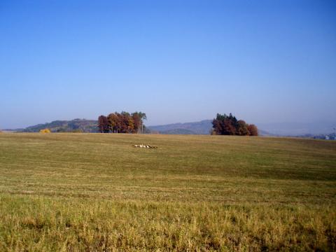 Fotografie Lednické Rovne