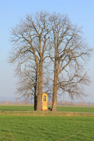 Fotografie Veľké Kozmálovce