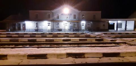 Fotografie Plešivec