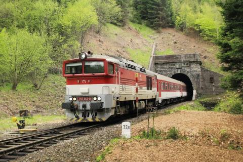 Fotografie Čremošné